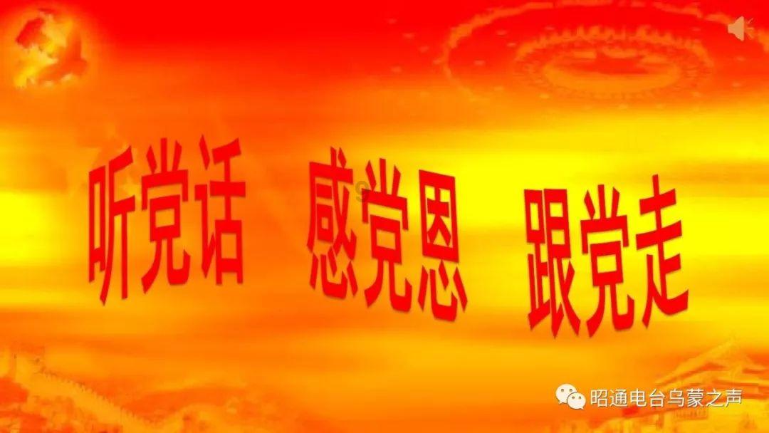 乔和莫莫